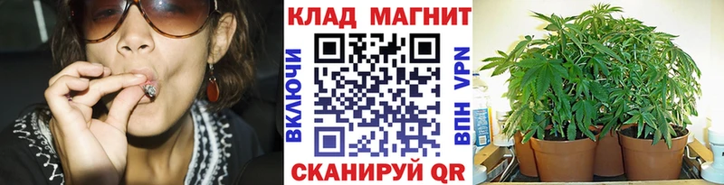 Купить наркотики сайты Микунь Гашиш  Cocaine  Меф мяу мяу 