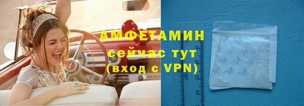 гидра Бронницы