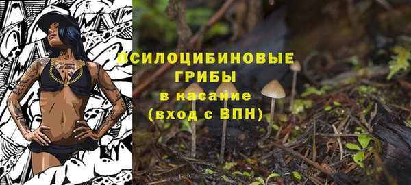 МДМА Бородино