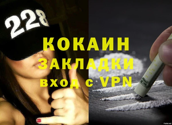 гидра Бронницы