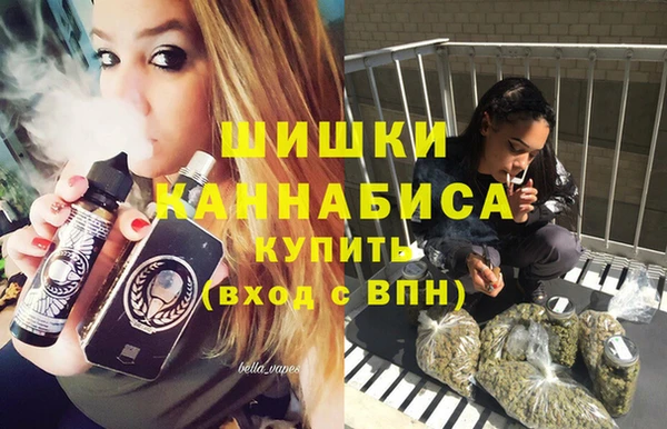 МДМА Бородино