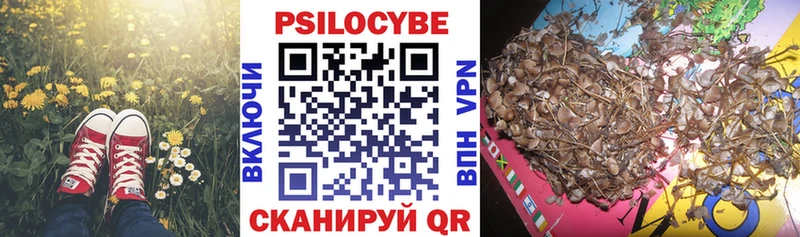 что такое   гидра зеркало  Галлюциногенные грибы GOLDEN TEACHER  Микунь 